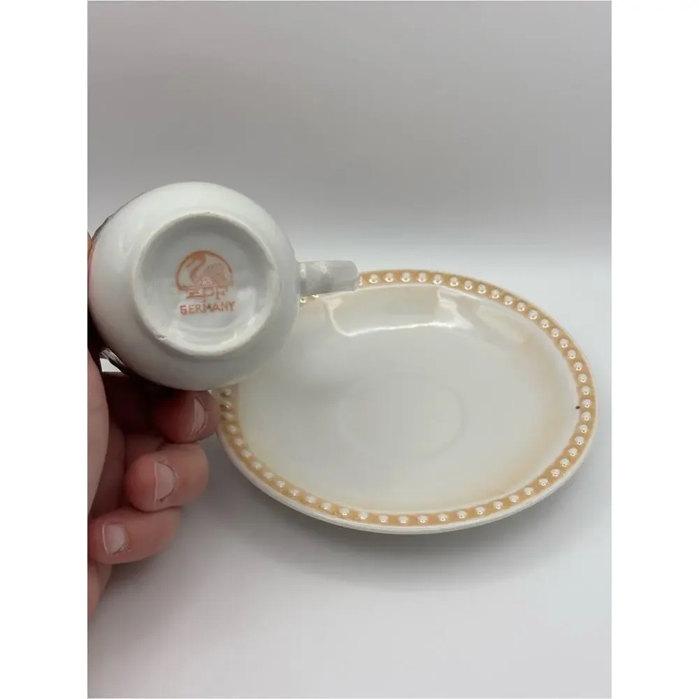Vintage Lusterware Rose Teacup and Saucer, Zwickau Porcelain Factory Germany